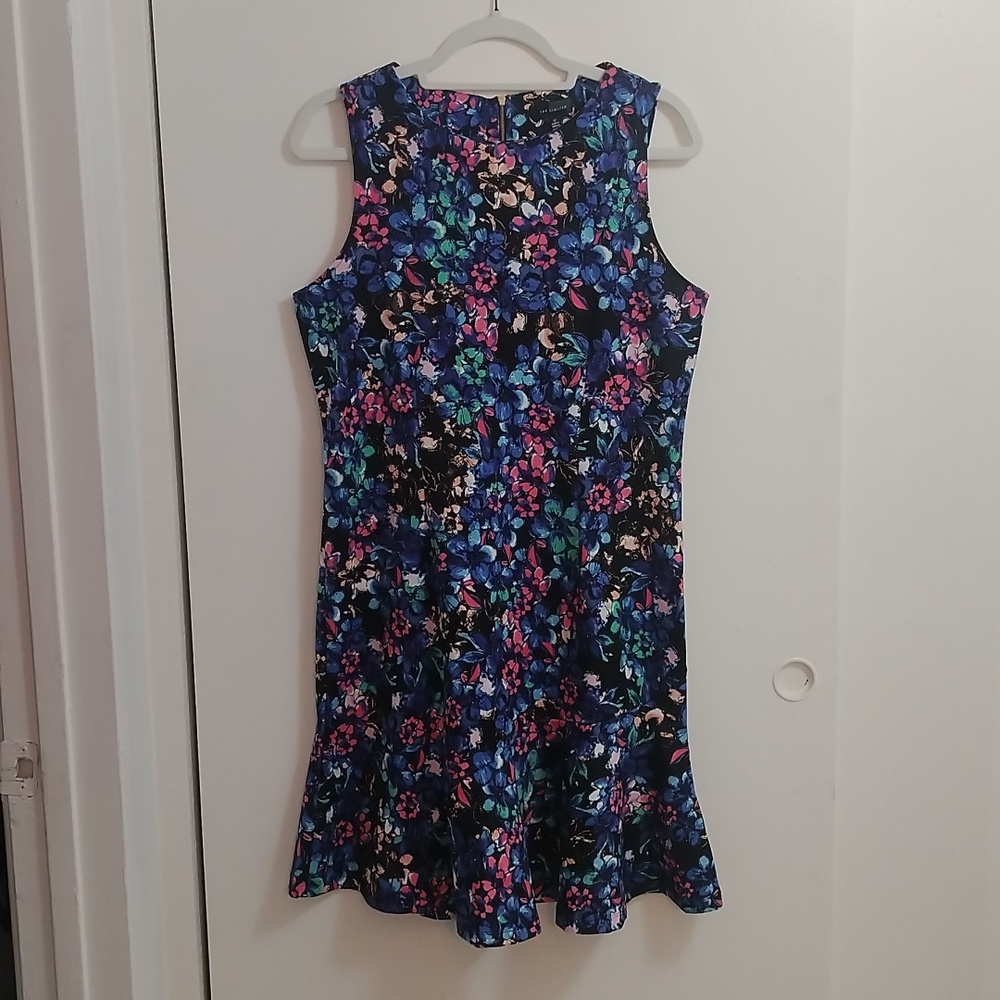 Size 12 The Limited Floral Dress